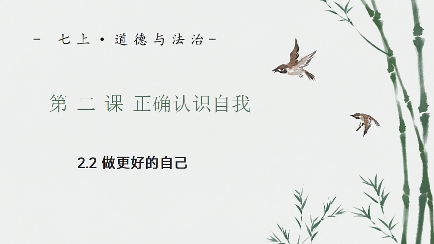 17353236第1页