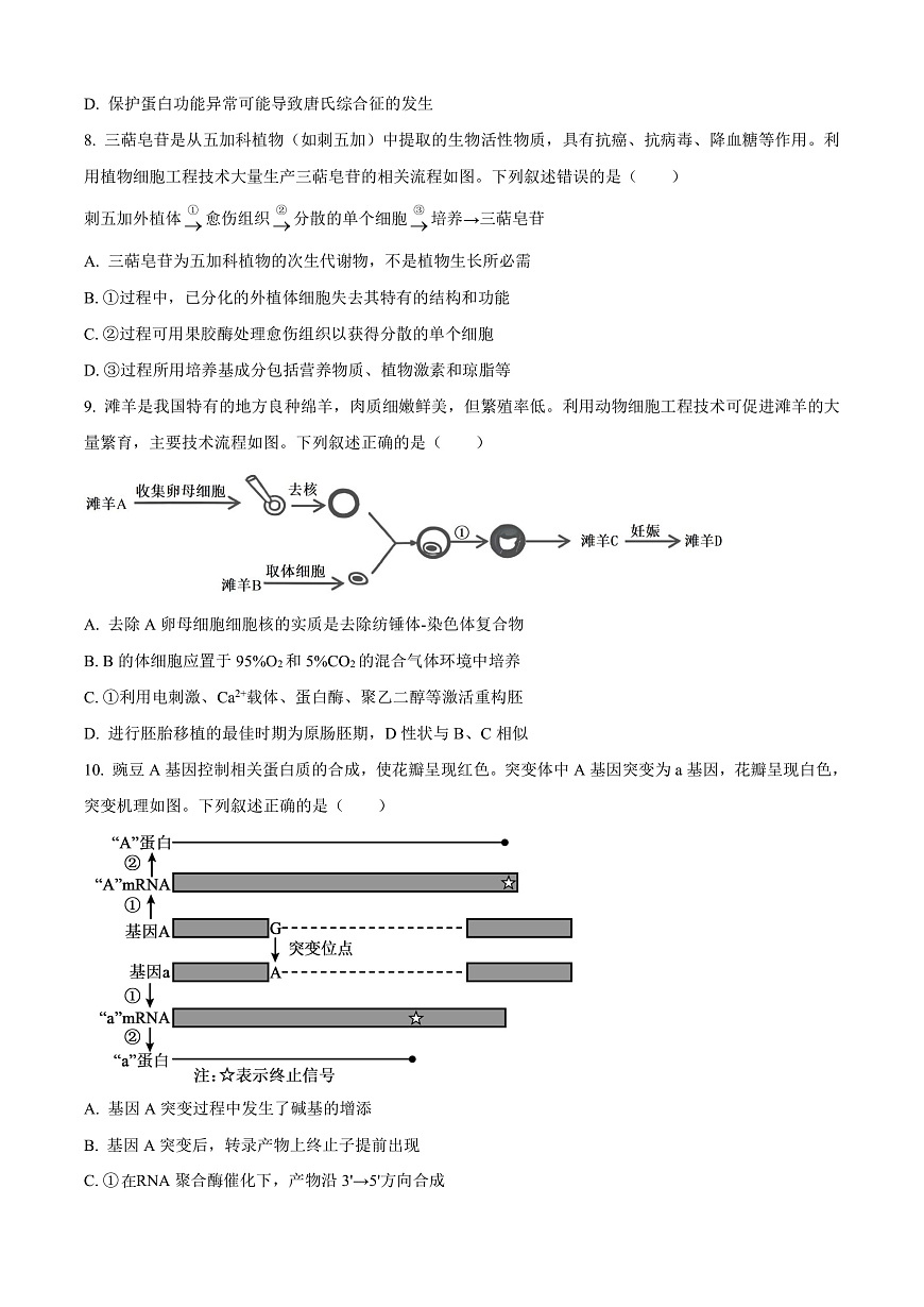 2026届黑龙江省大庆市高三第一次质量检测生物试题  Word版无答案第3页