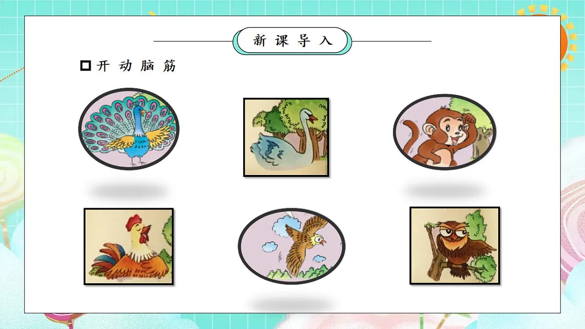 17354623第4页