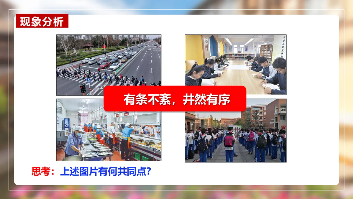 17355333第4页