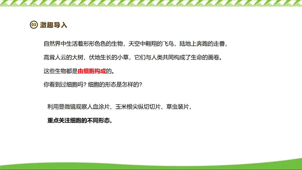 17355526第4页