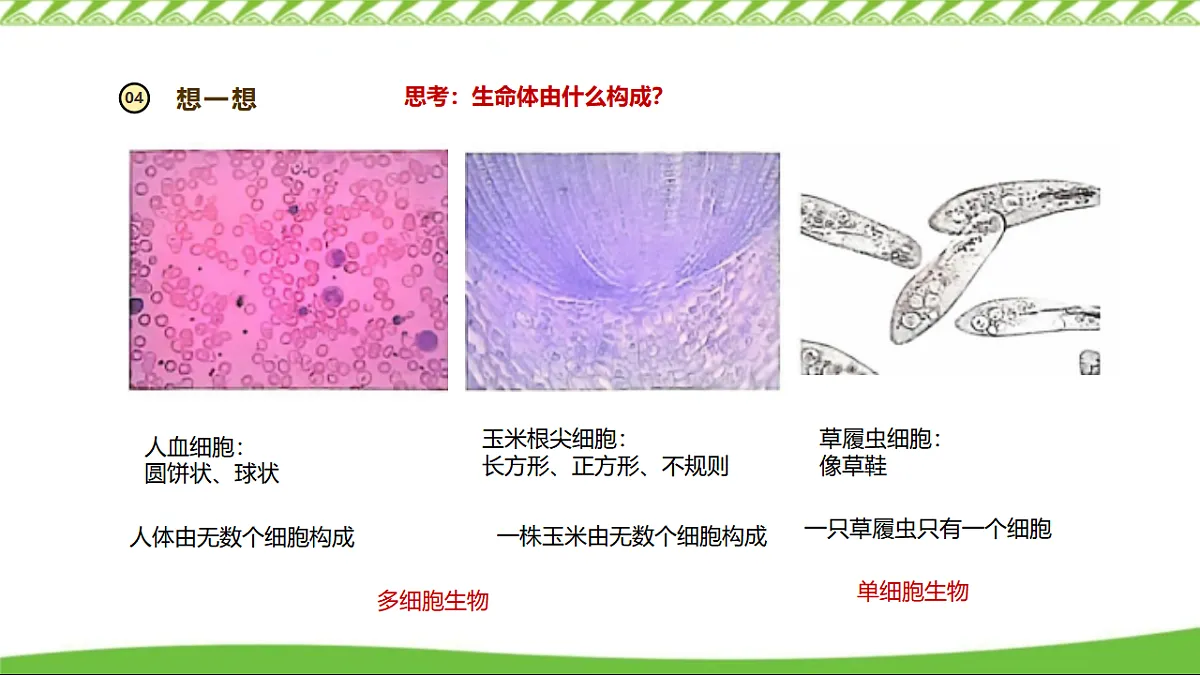 17355526第5页