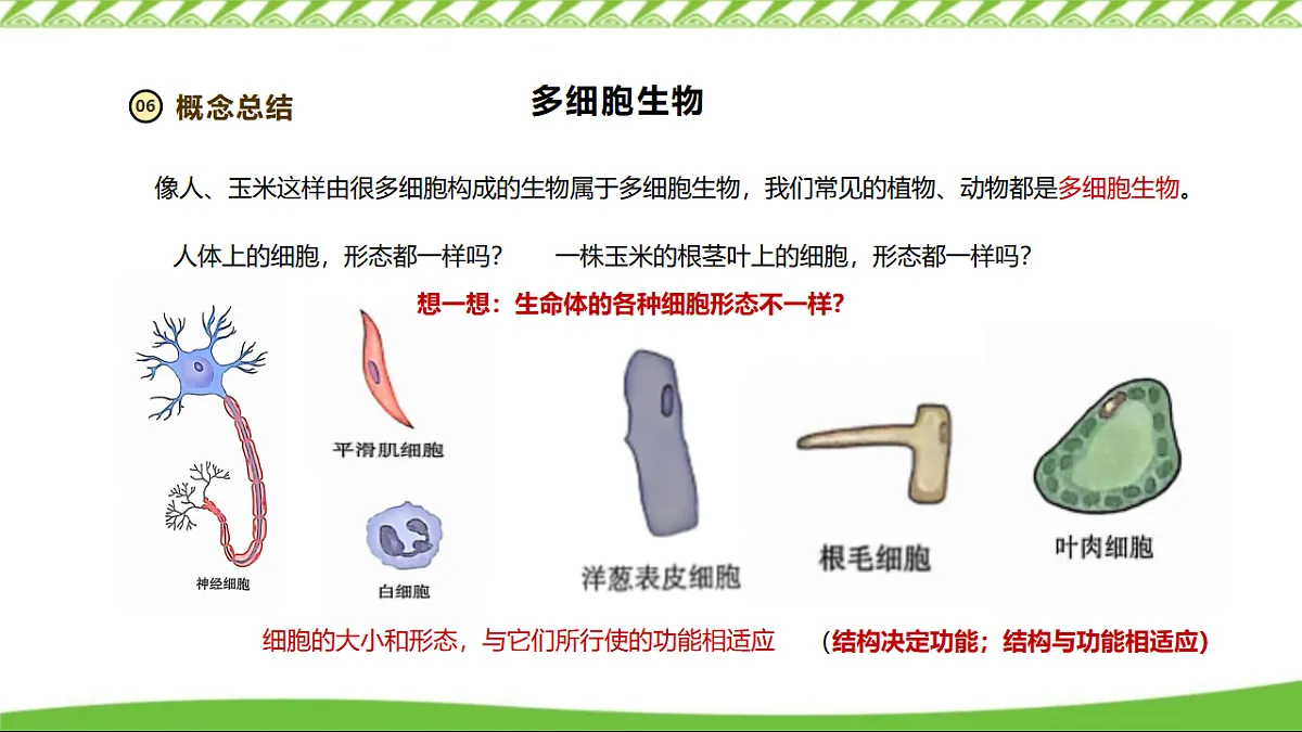 17355526第7页