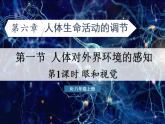 4.6.1+人体对外界环境的感知课件2025-2026学年人教版生物八年级上册