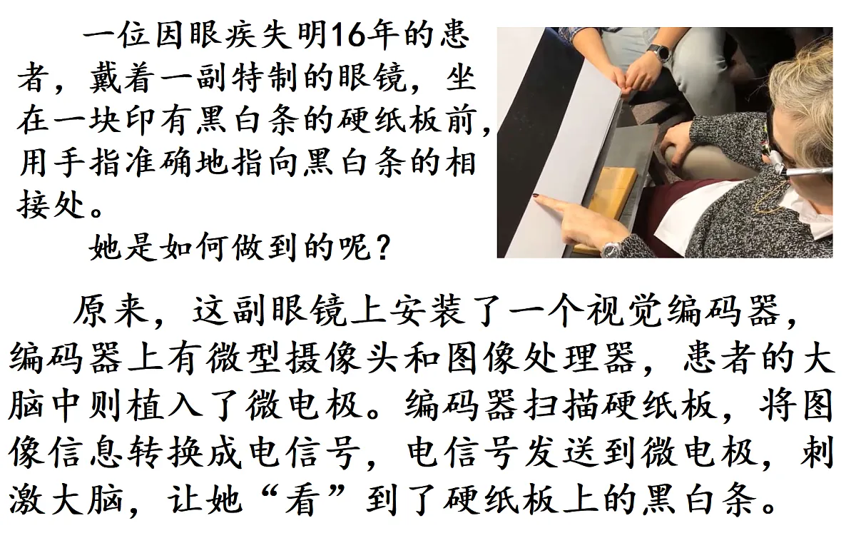 17355528第3页