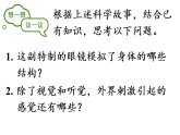 4.6.1+人体对外界环境的感知课件2025-2026学年人教版生物八年级上册
