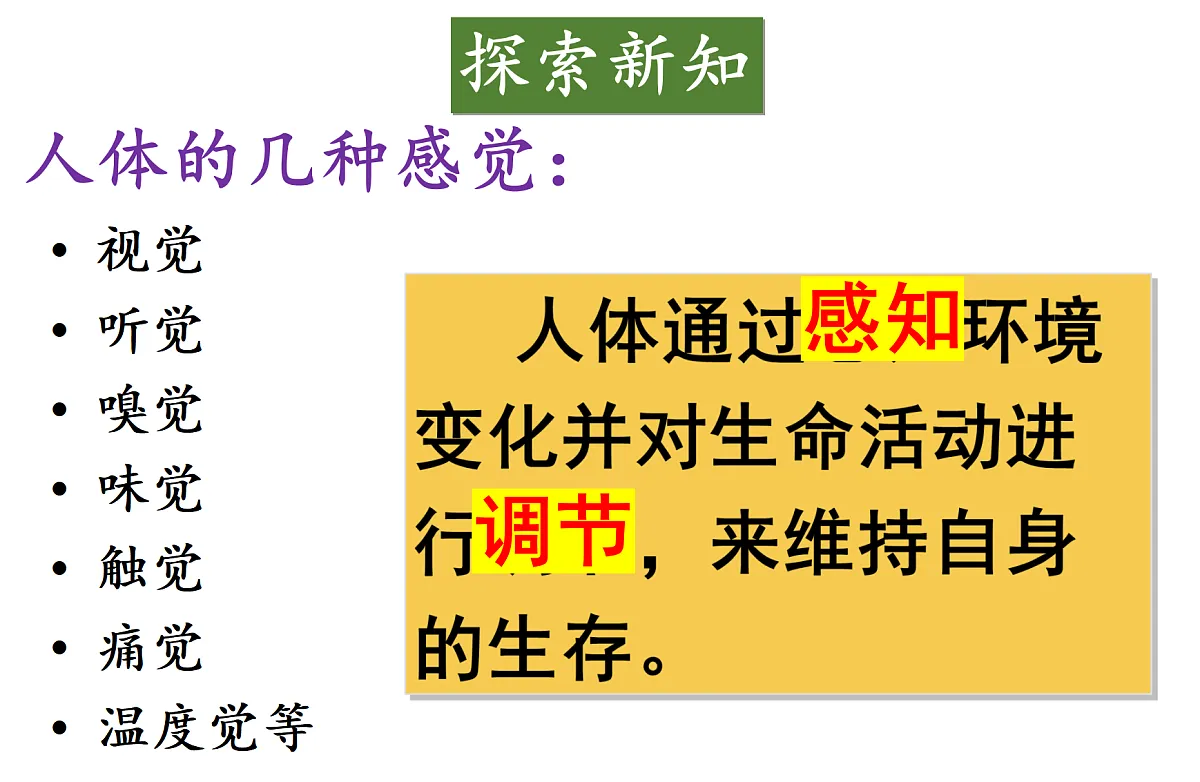 17355528第5页
