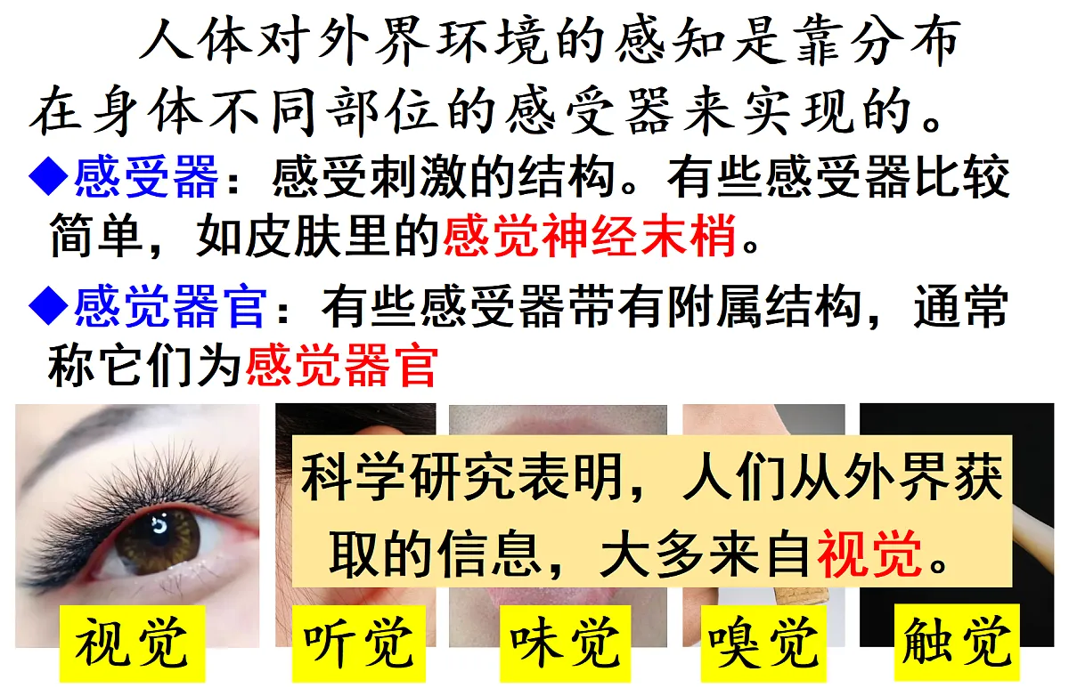 17355528第6页