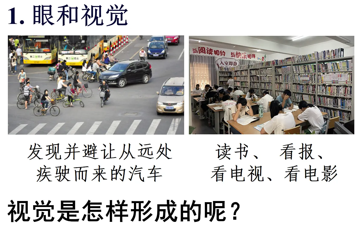 17355528第7页