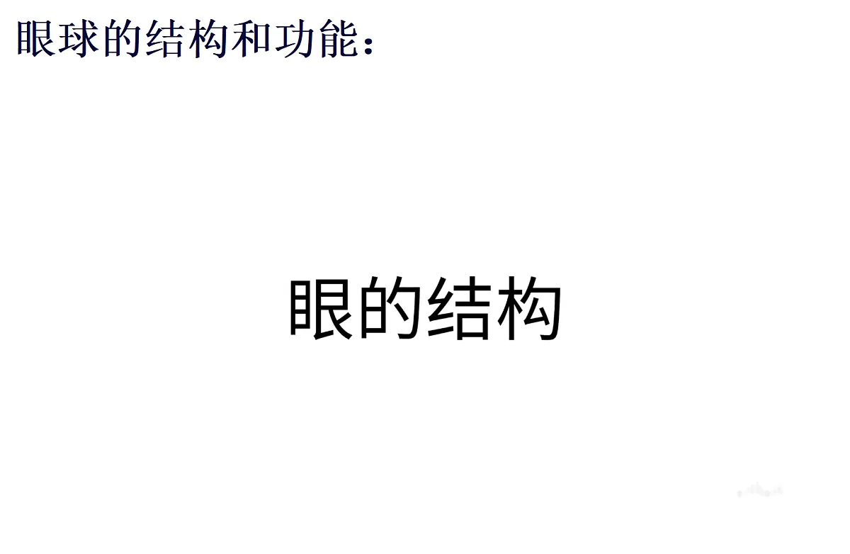 17355528第8页