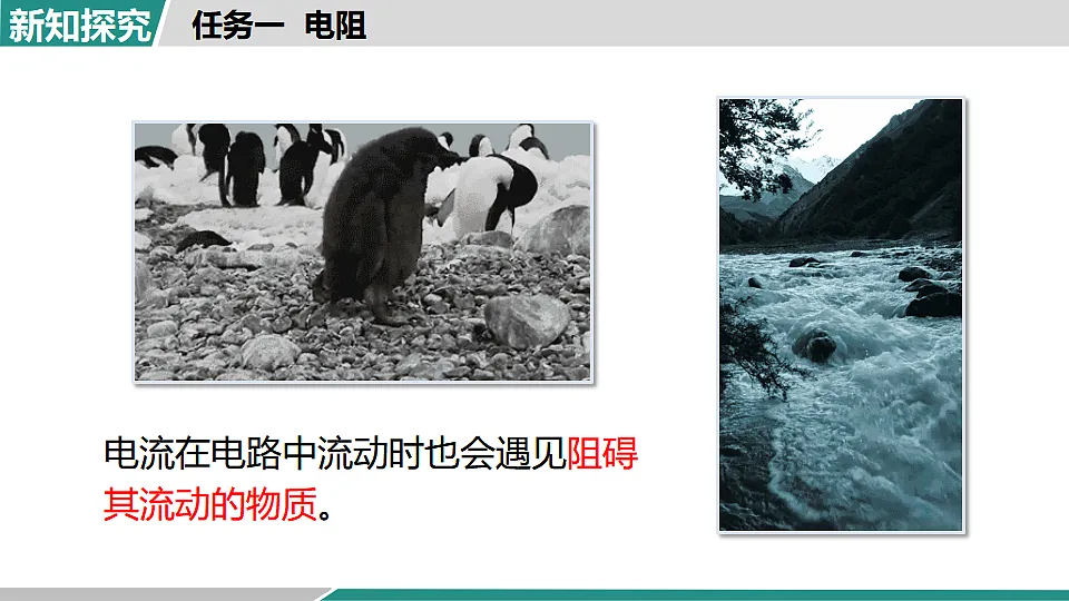 17355778第5页