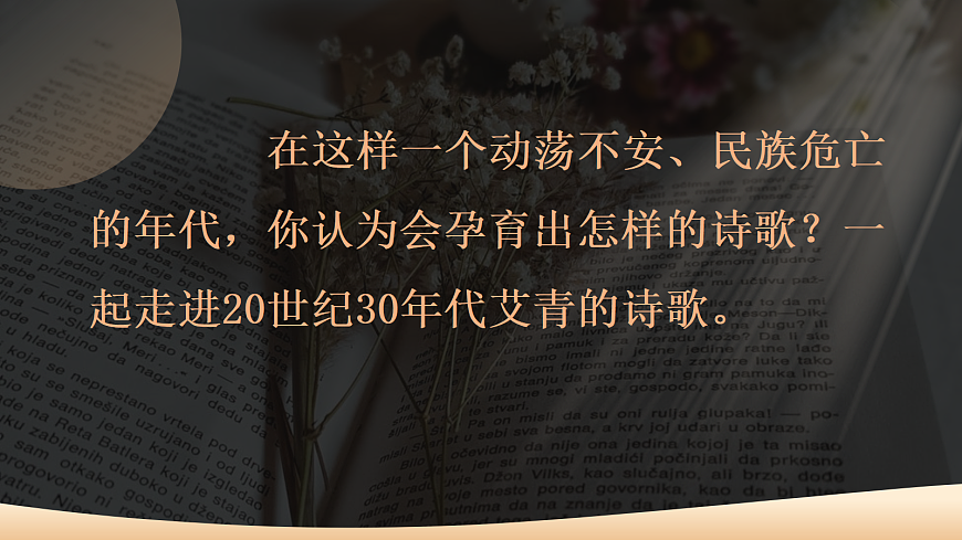 17356248第4页