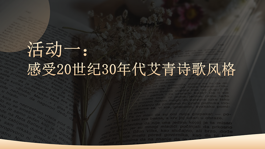 17356248第6页