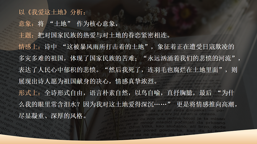 17356248第7页