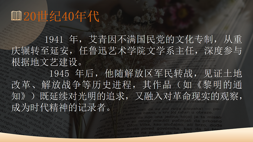 17356249第3页