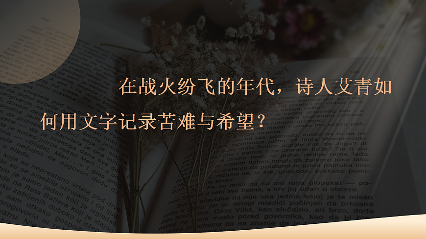 17356249第4页