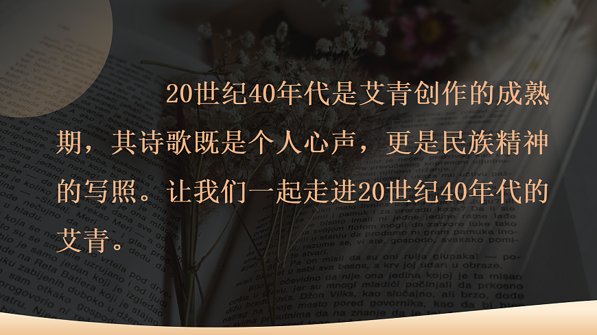 17356249第5页