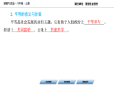 7.2 践行平等 学案课件 （含答案） 统编版道德与法治八年级上册