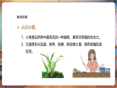 【新教学新课标】湘美版美术三年级上册第2单元第1课《草丛中》课件+教案（表格式含反思）+素材
