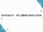 2025年人教版（2024）初中化学九年级下册第10单元跨学科实践活动9  探究土壤酸碱性对植物生长的影响习题课课件（含答案）