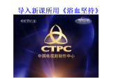 人教部编版(2024)七年级上册(2024)梅岭三章/陈毅教学课件ppt