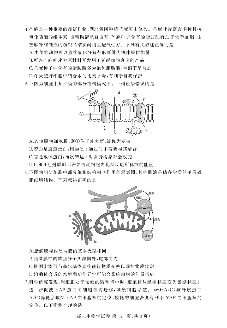 【2026届湖北省黄冈九调】生物试题第2页
