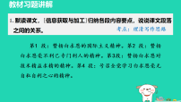 人教部编版（2024）七年级上册（2024）纪念白求恩/毛泽东习题ppt课件