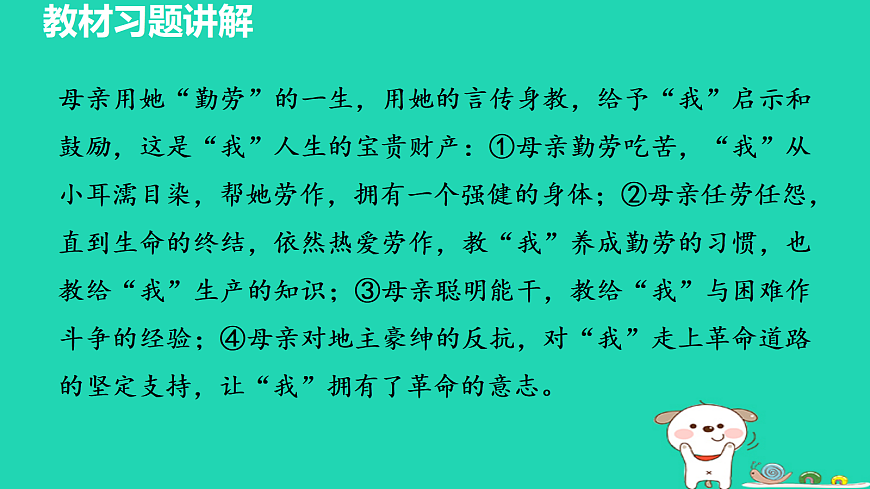 17356762第5页