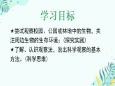 初中  生物  人教版（2024）  七年级上册（2024）  第一单元1.1 观察周边环境中的生物 课件