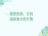 初中  生物  人教版（2024）  七年级上册（2024）  第一单元1.1 观察周边环境中的生物 课件