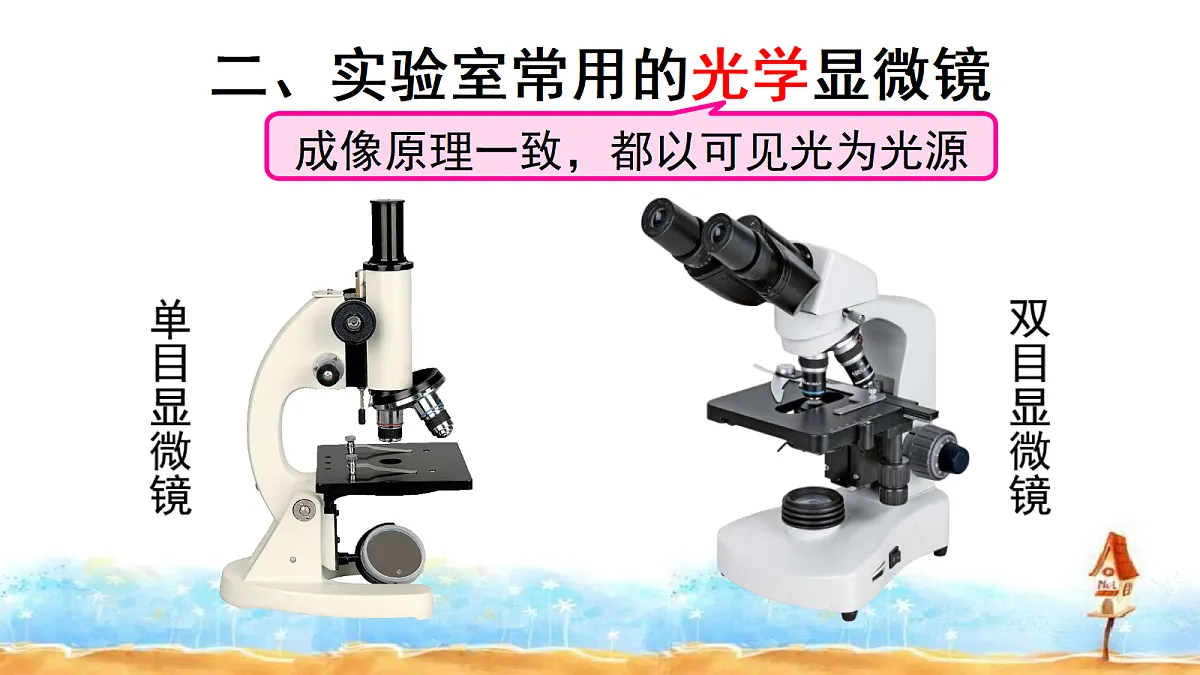 17356838第5页