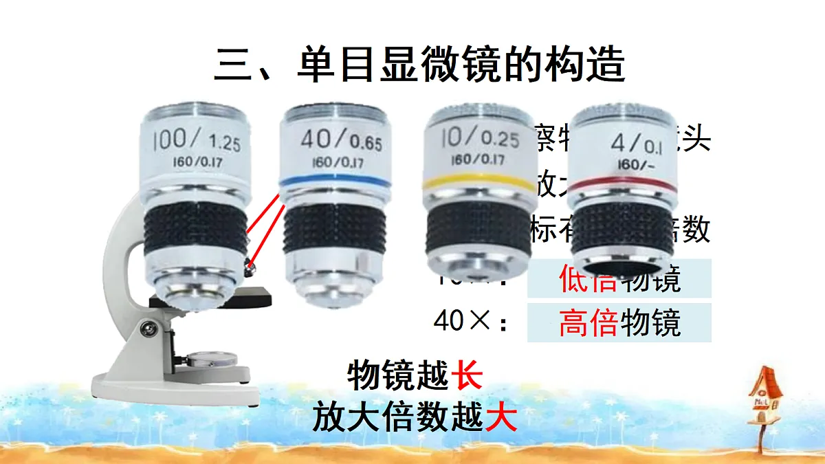 17356838第7页