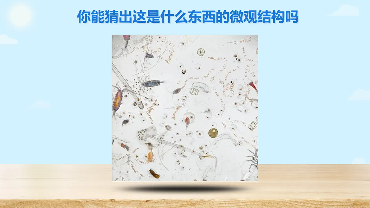 17356840第2页