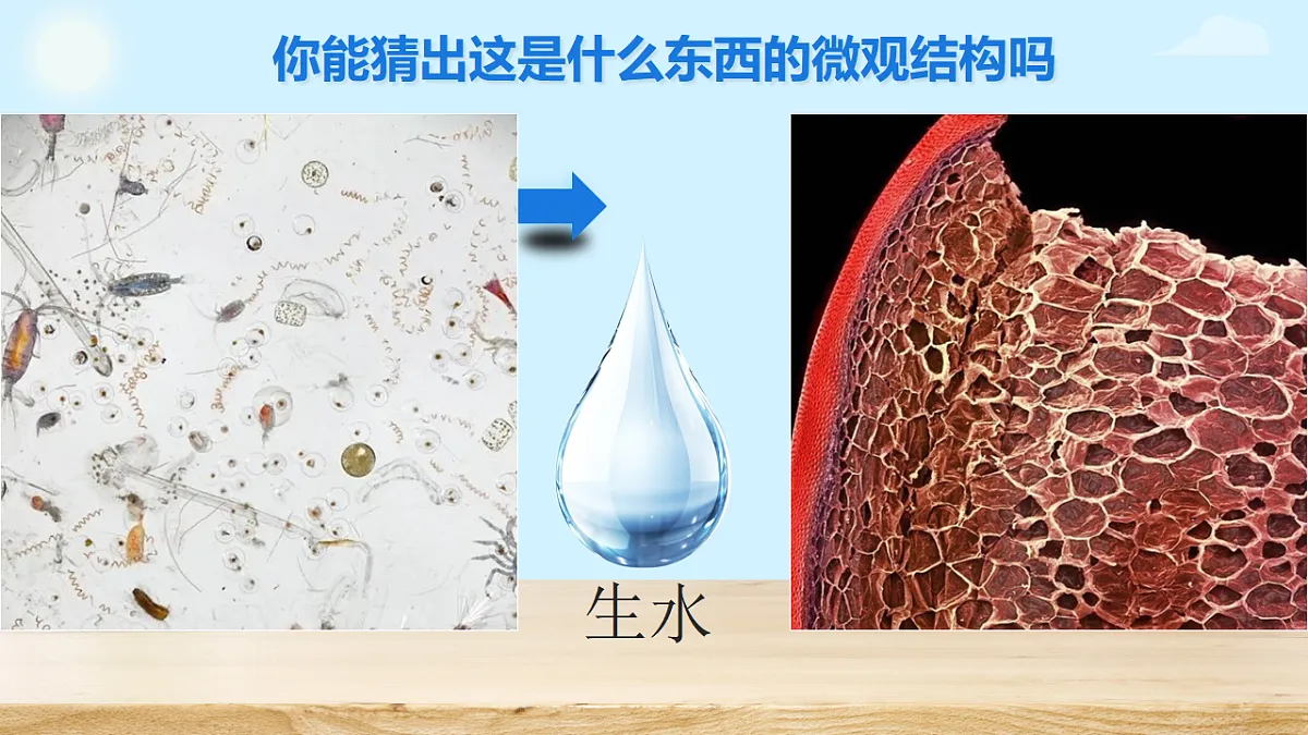 17356840第3页