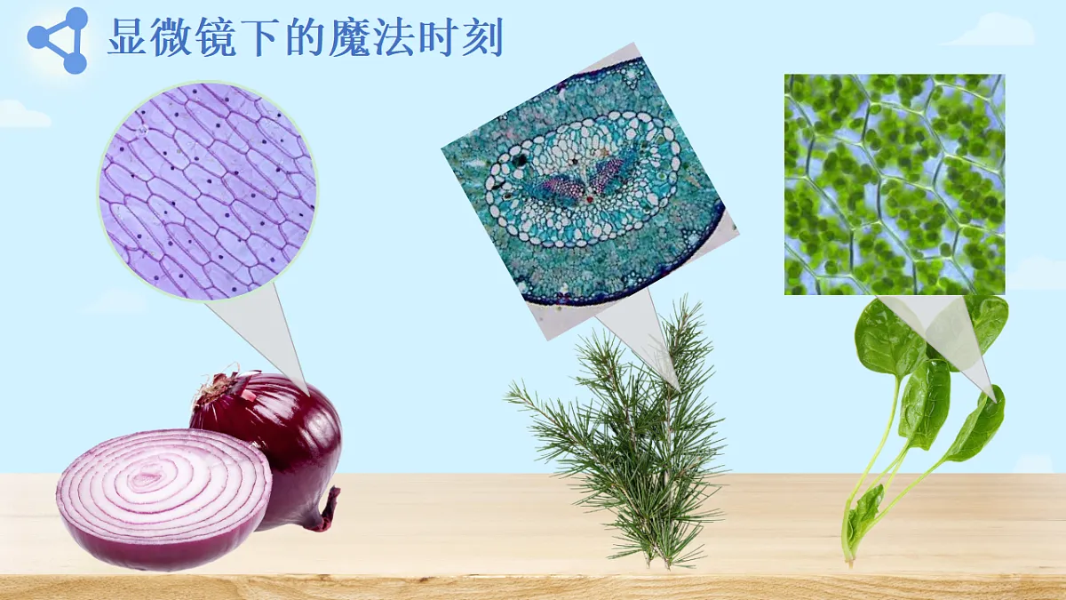 17356840第4页