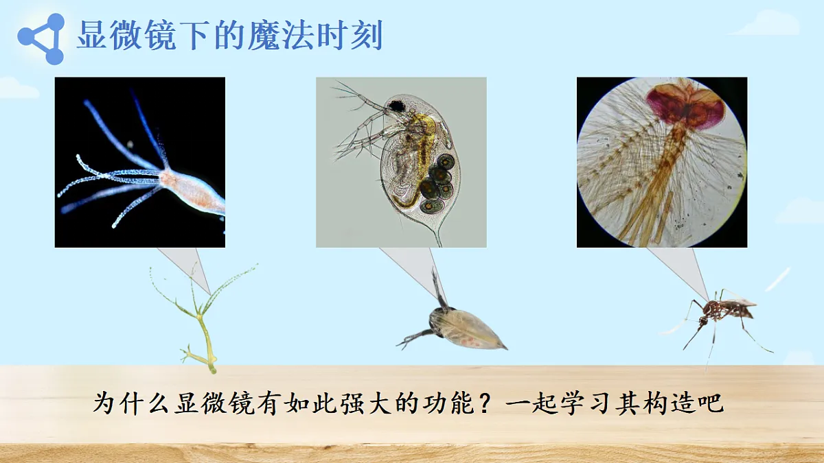17356840第5页