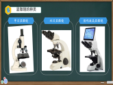 初中  生物  人教版（2024）  七年级上册（2024）  第一单元2.1 学习使用显微镜 课件