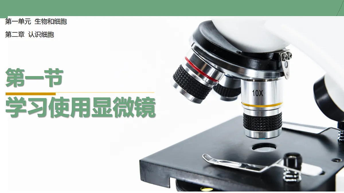 17356842第1页