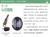 初中  生物  人教版（2024）  七年级上册（2024）  第一单元2.1 学习使用显微镜 课件