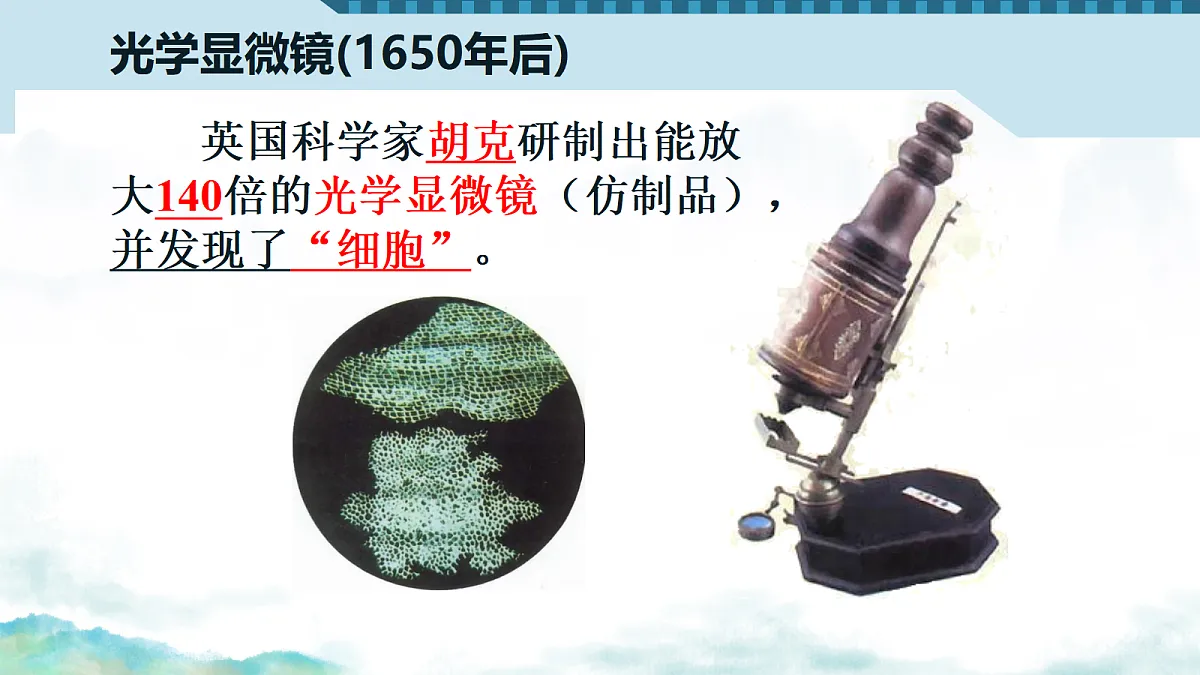 17356842第4页