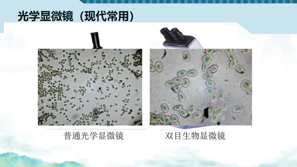 17356842第5页