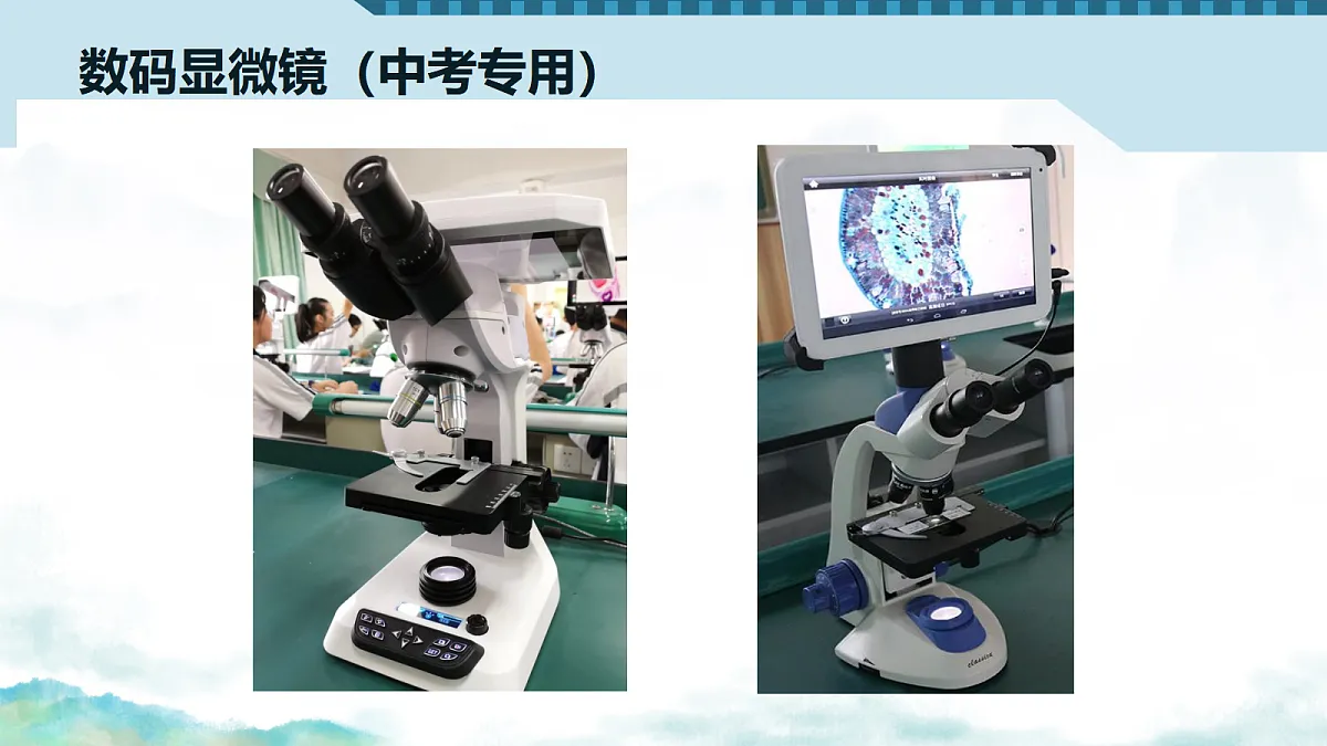 17356842第6页