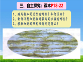 初中  生物  人教版（2024）  七年级上册（2024）  第一单元2.2 植物细胞 课件