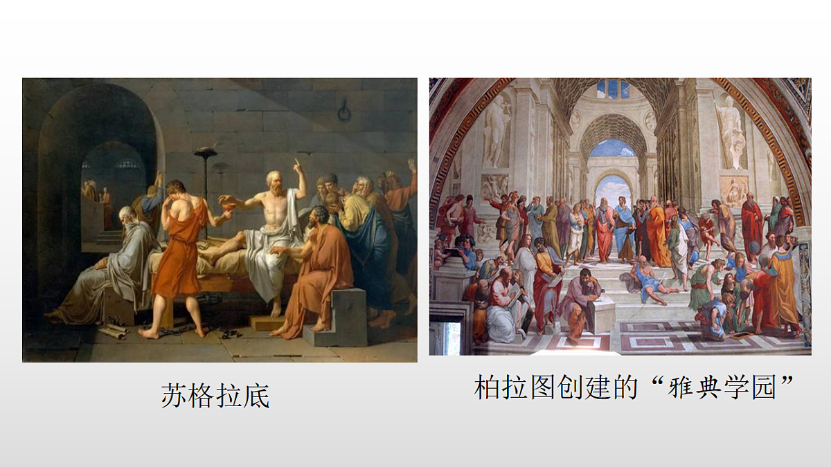 17356960第4页