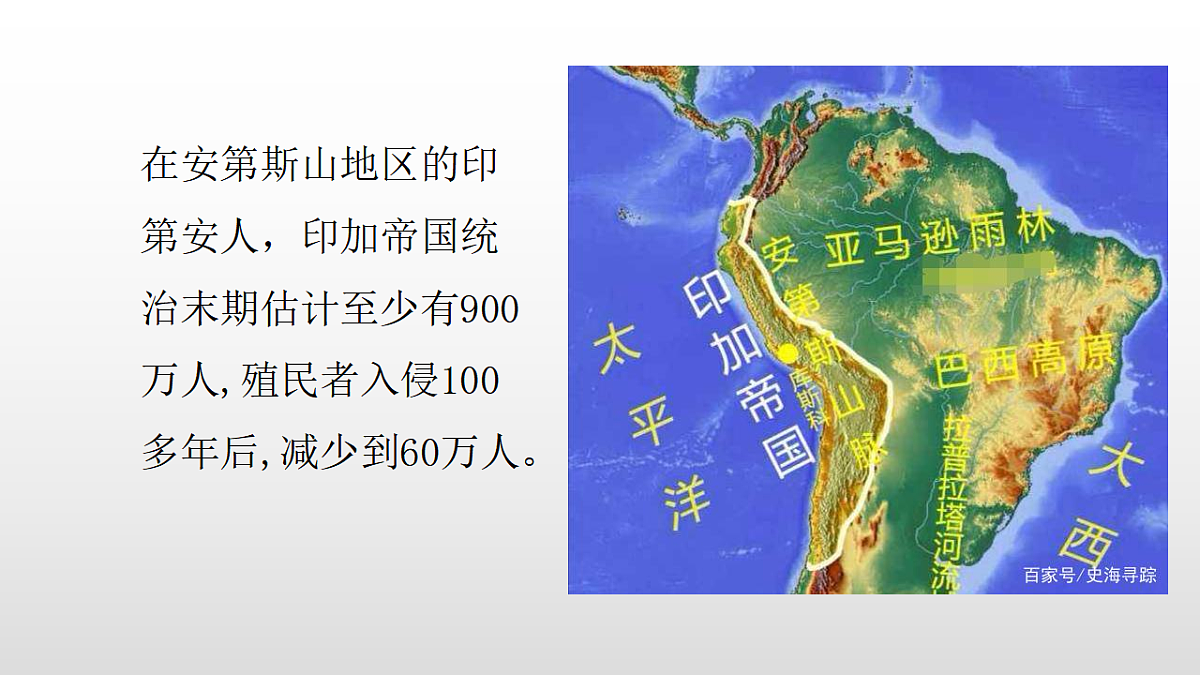 17356963第4页