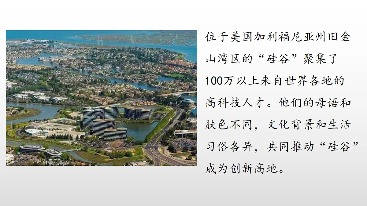17356964第8页