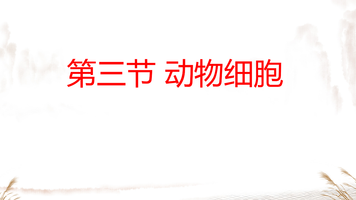 17357004第2页