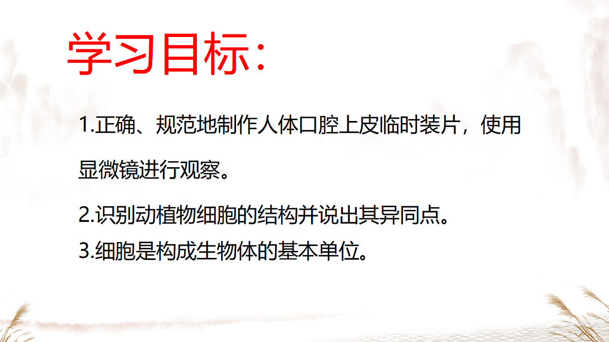 17357004第3页