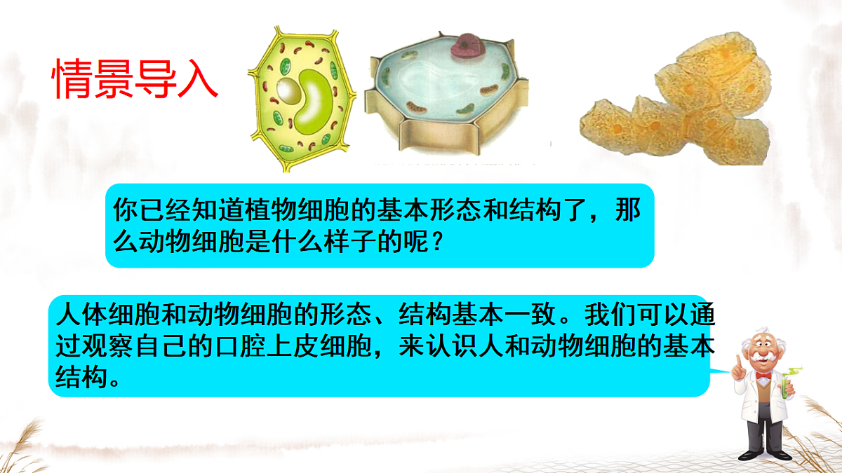 17357004第4页