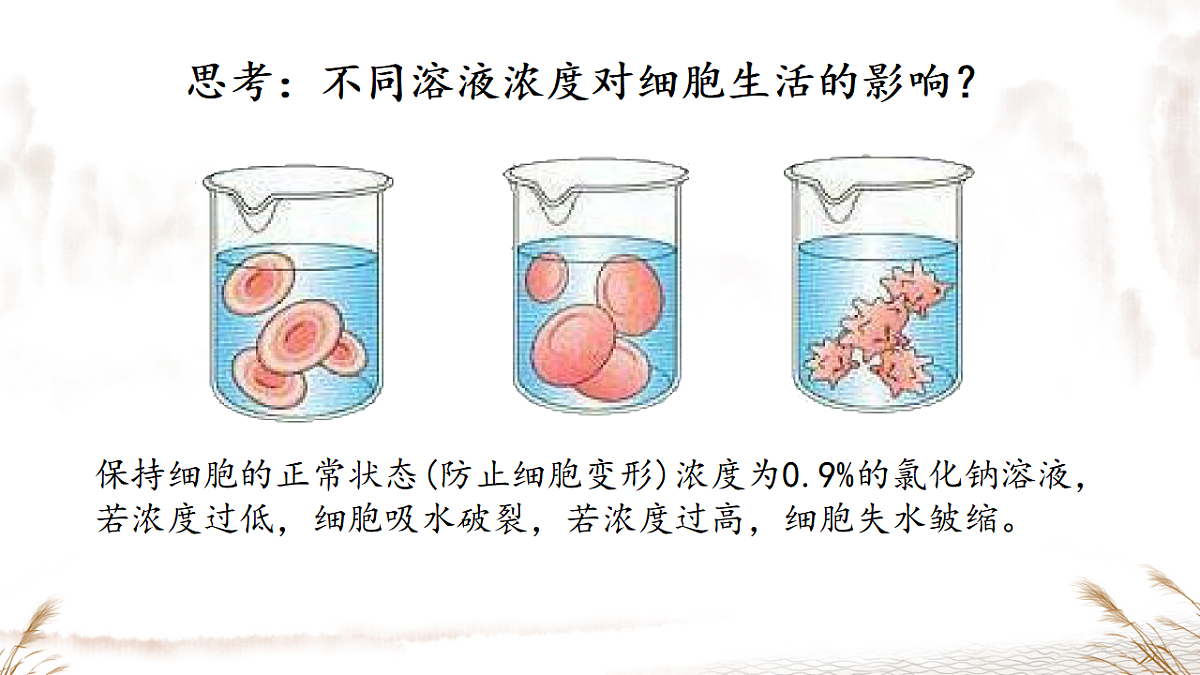 17357004第6页